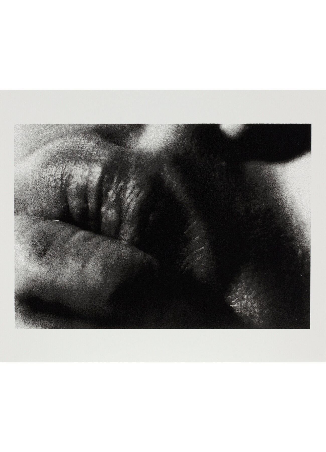 Daido Moriyama  "Farewell Photography"_10