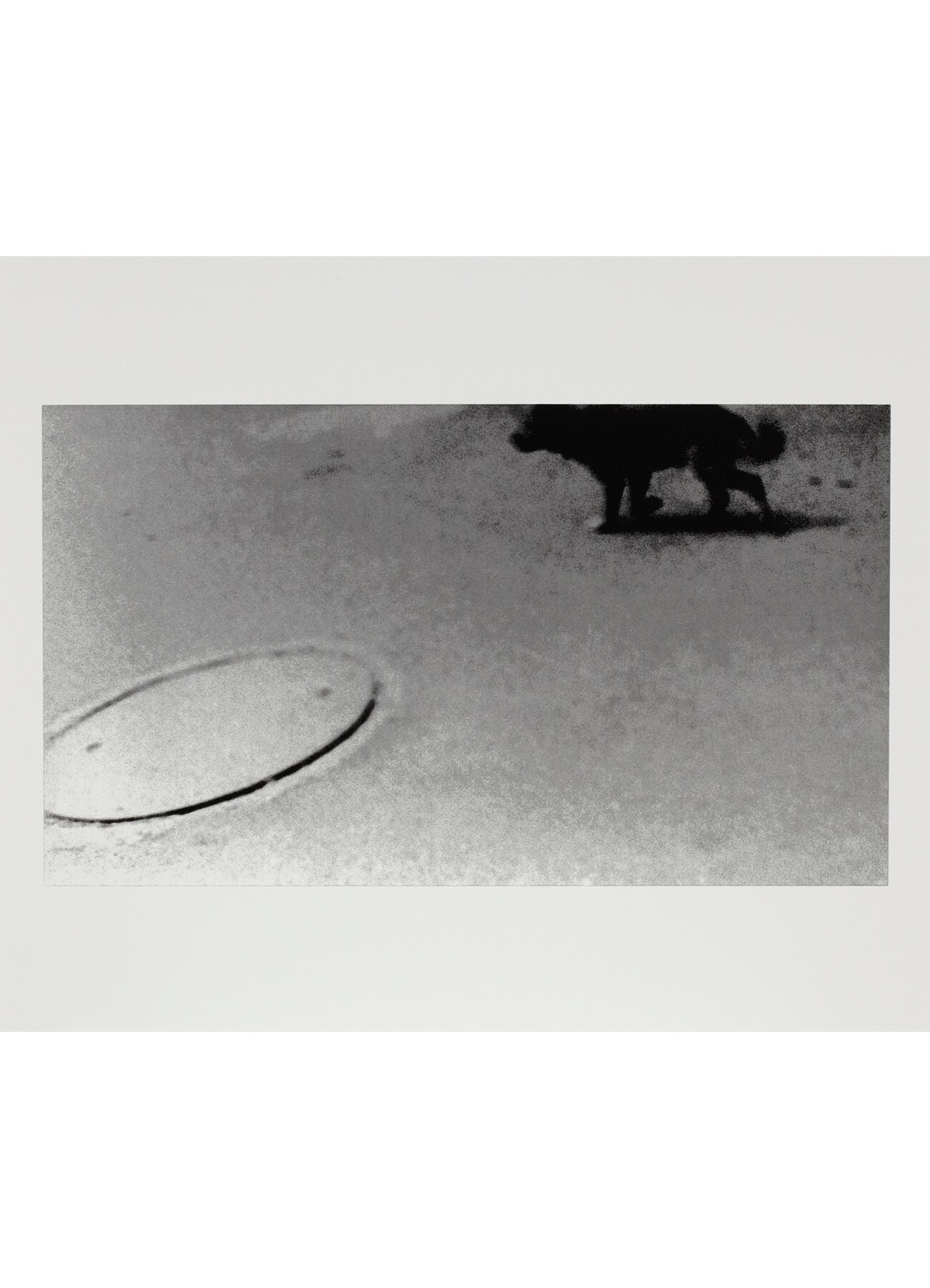 Daido Moriyama  "Farewell Photography"_8