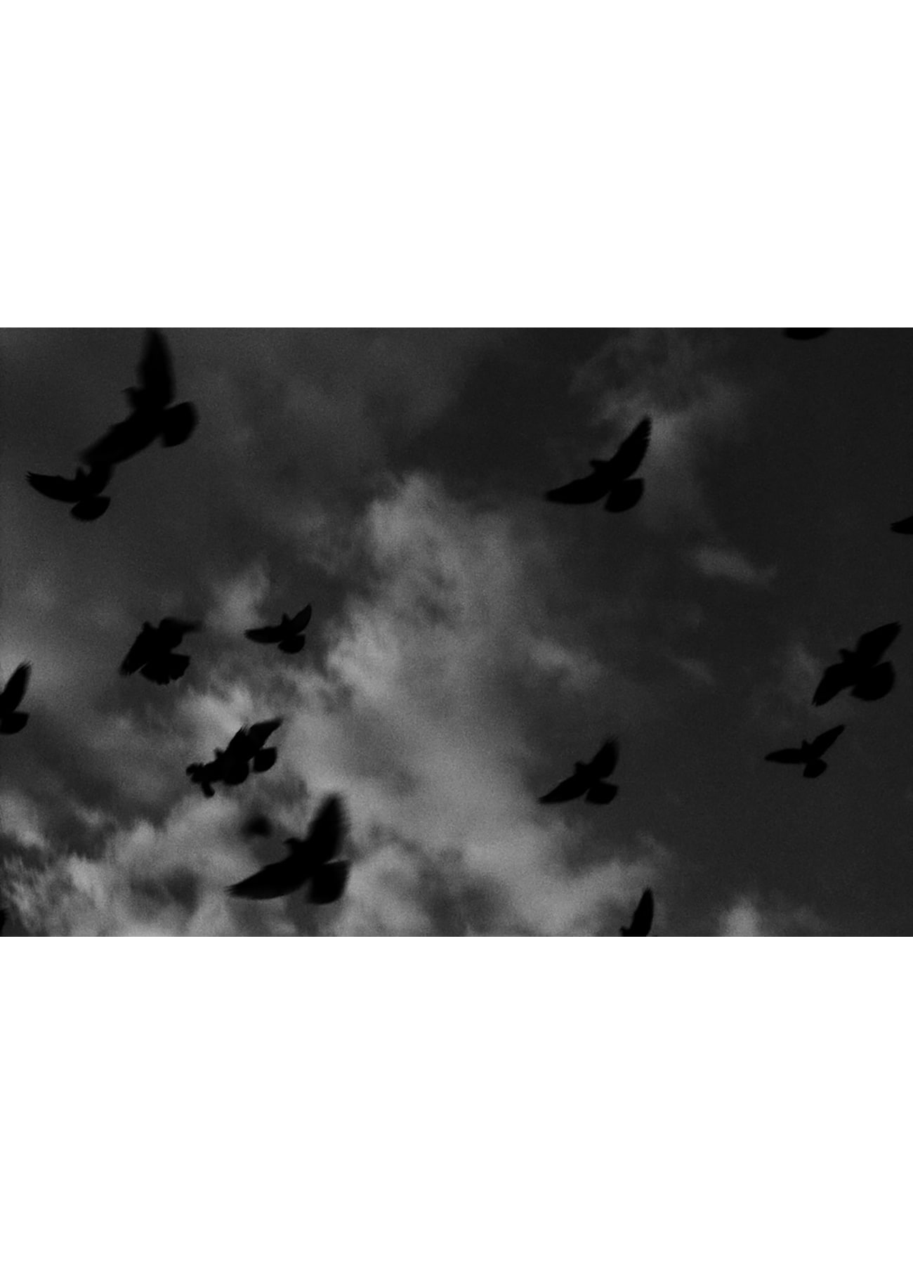 TAKAY "Yohji Yamamoto POUR HOMME 2022-23 A/W Collection"_3