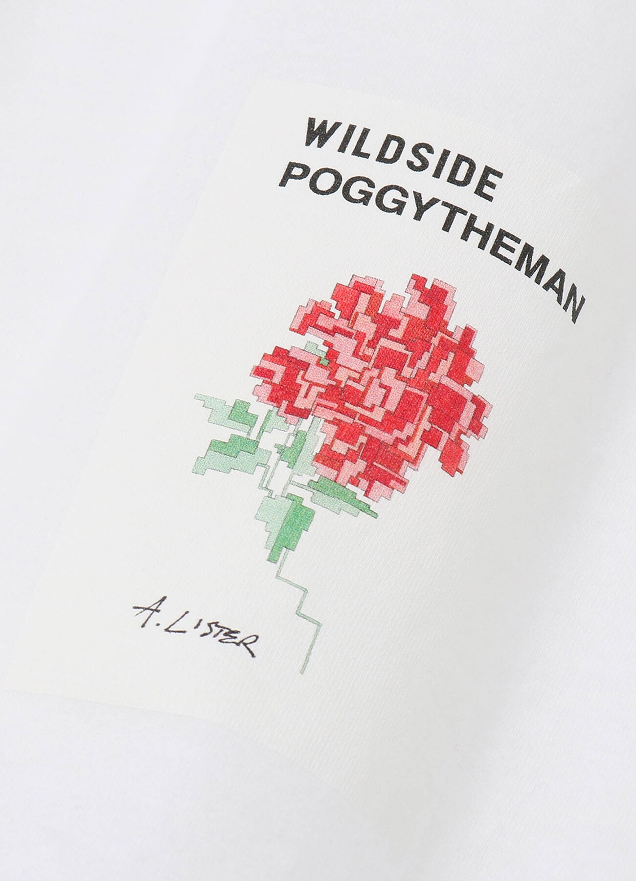 WILDSIDE × POGGYTHEMAN × Adam Lister Long Sleeve T-shirt_7