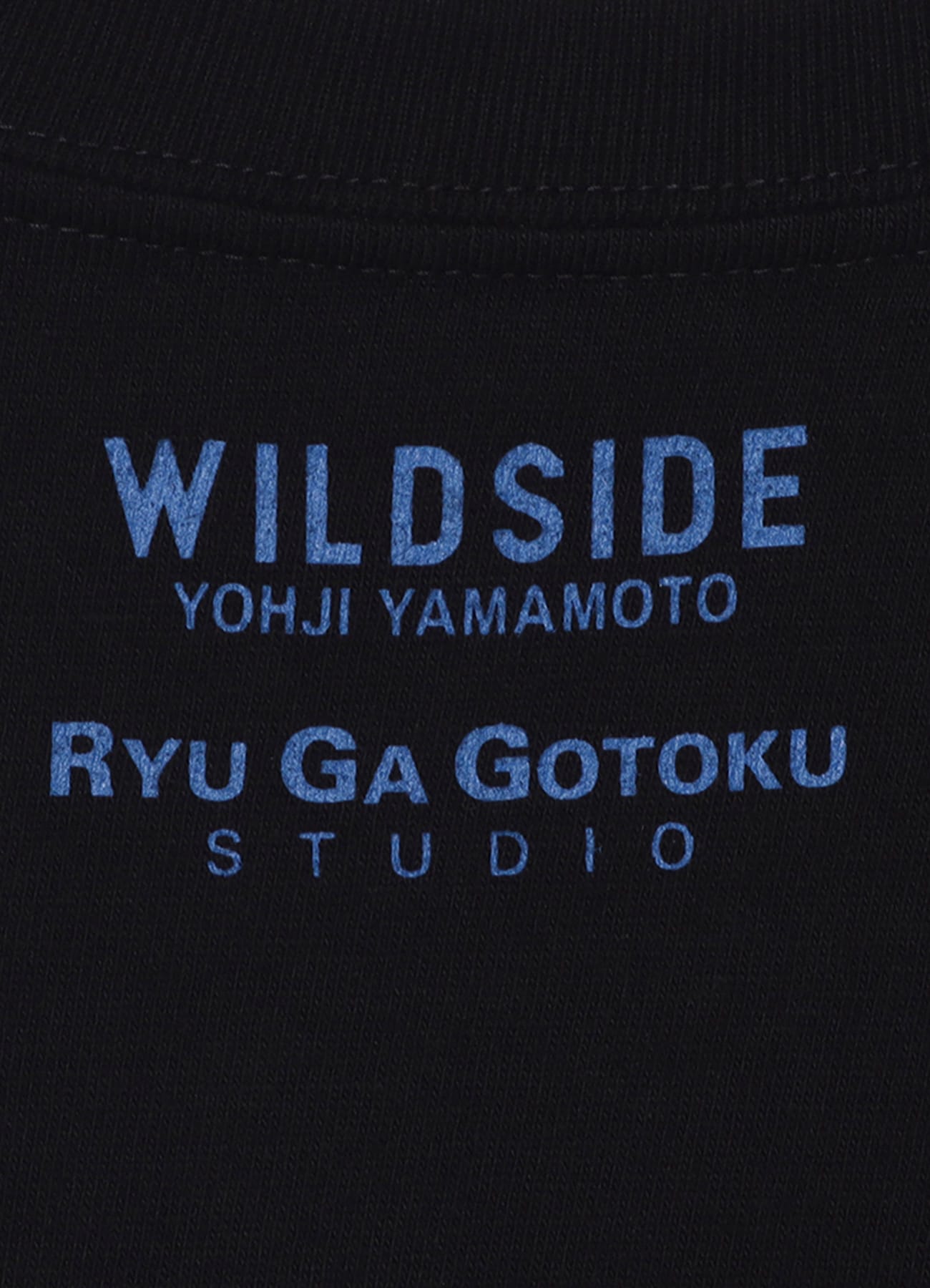 WILDSIDE × 龍が如くスタジオ Short Sleeve T-shirt (般若/虎)(M