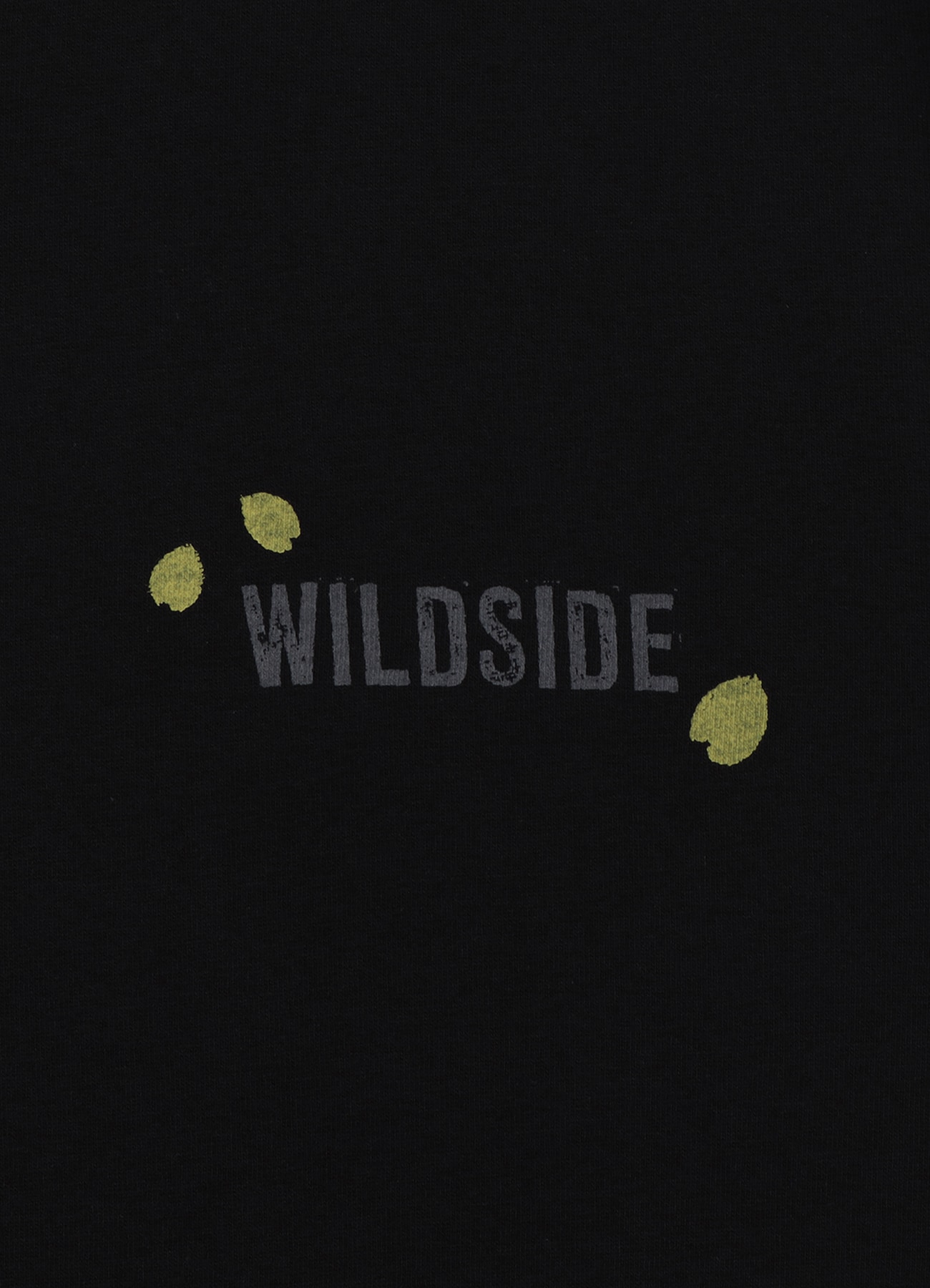 WILDSIDE × 龍が如くスタジオ S/S T-Shirt(般若)(M Black): 龍が