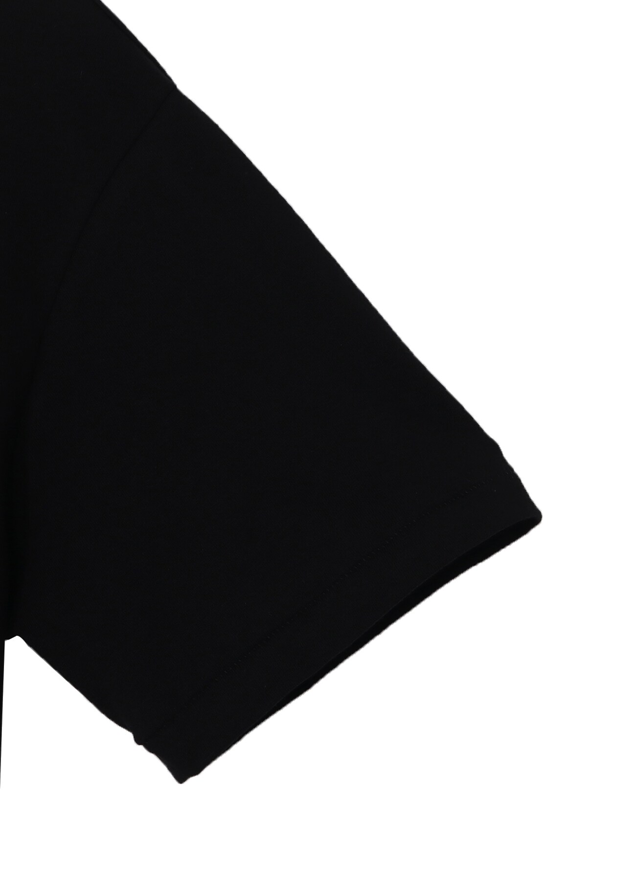 WILDSIDE × 龍が如くスタジオ S/S T-Shirt(虎)_4