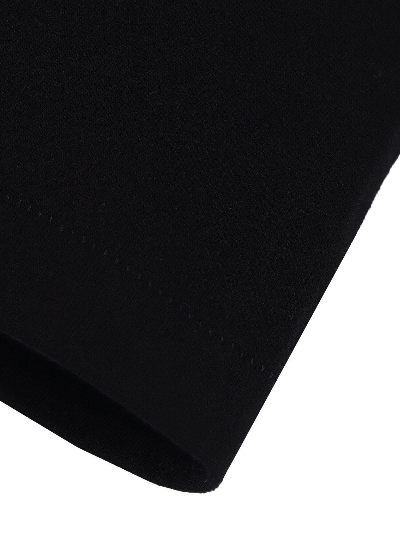 WILDSIDE × 龍が如くスタジオ S/S T-Shirt(虎)_5