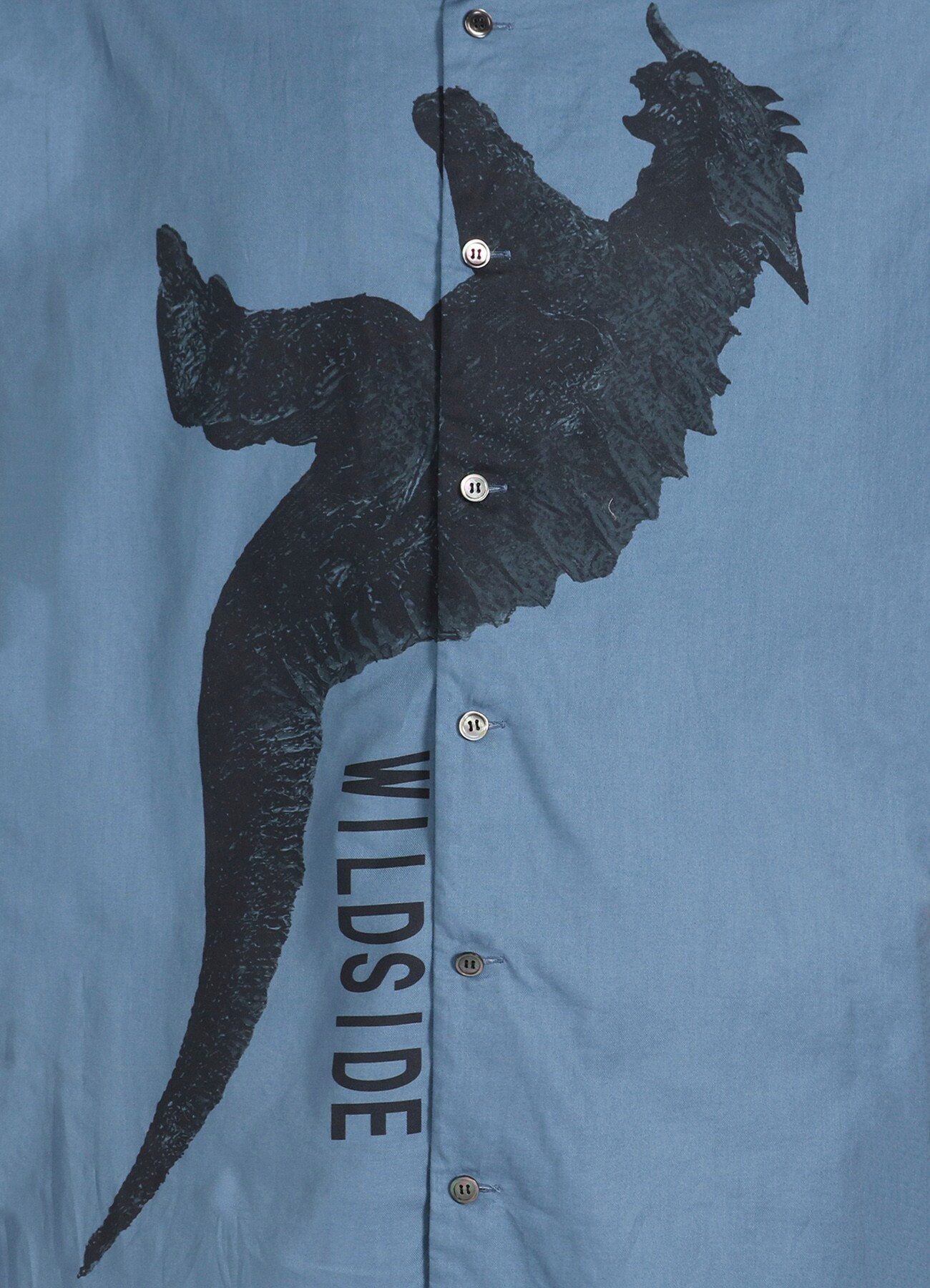 WILDSIDE × IZUMONSTER Blue Shirt_7