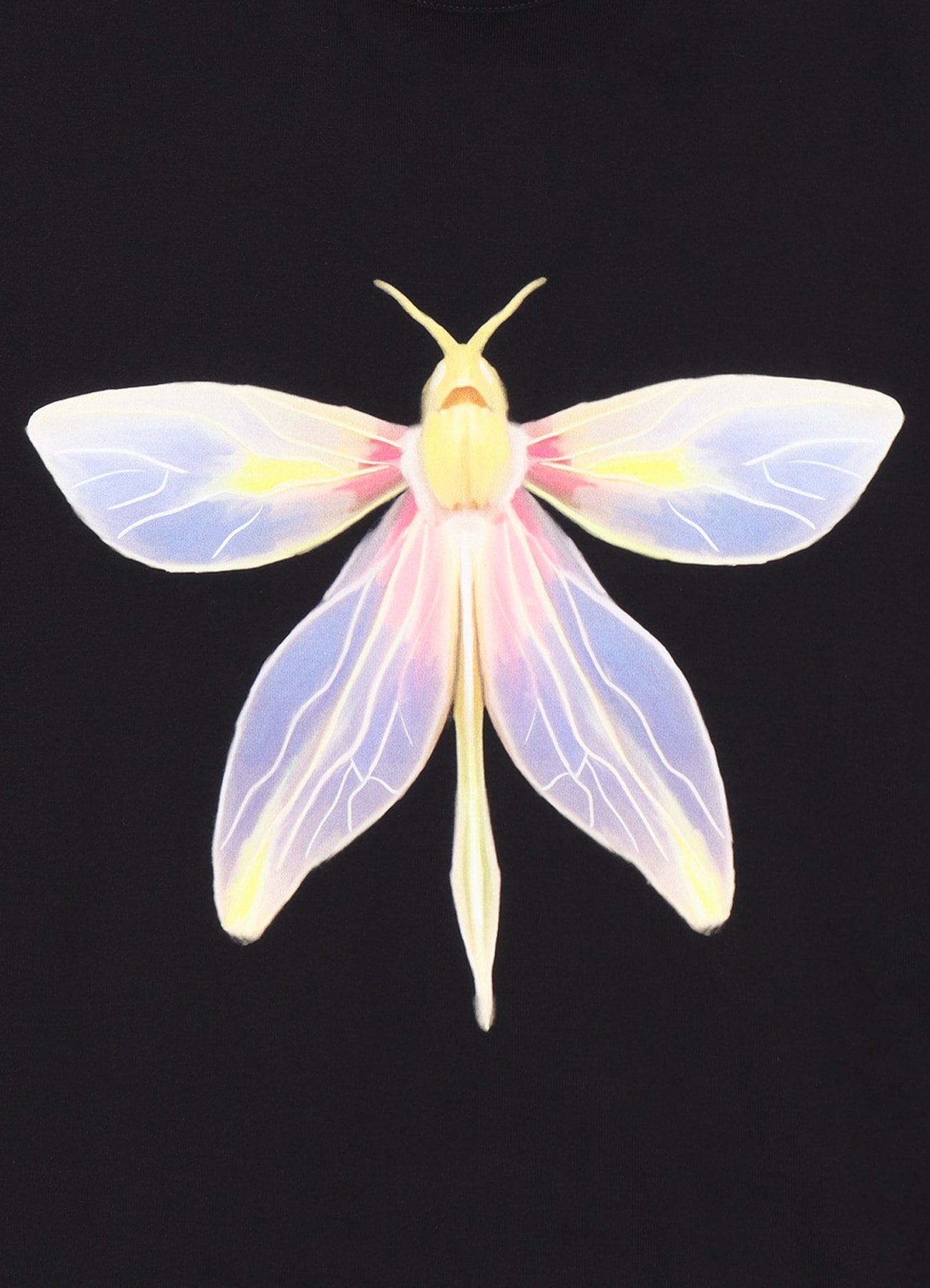 WILDSIDE × IRACEMA DRAGONFLY T-shirt_8