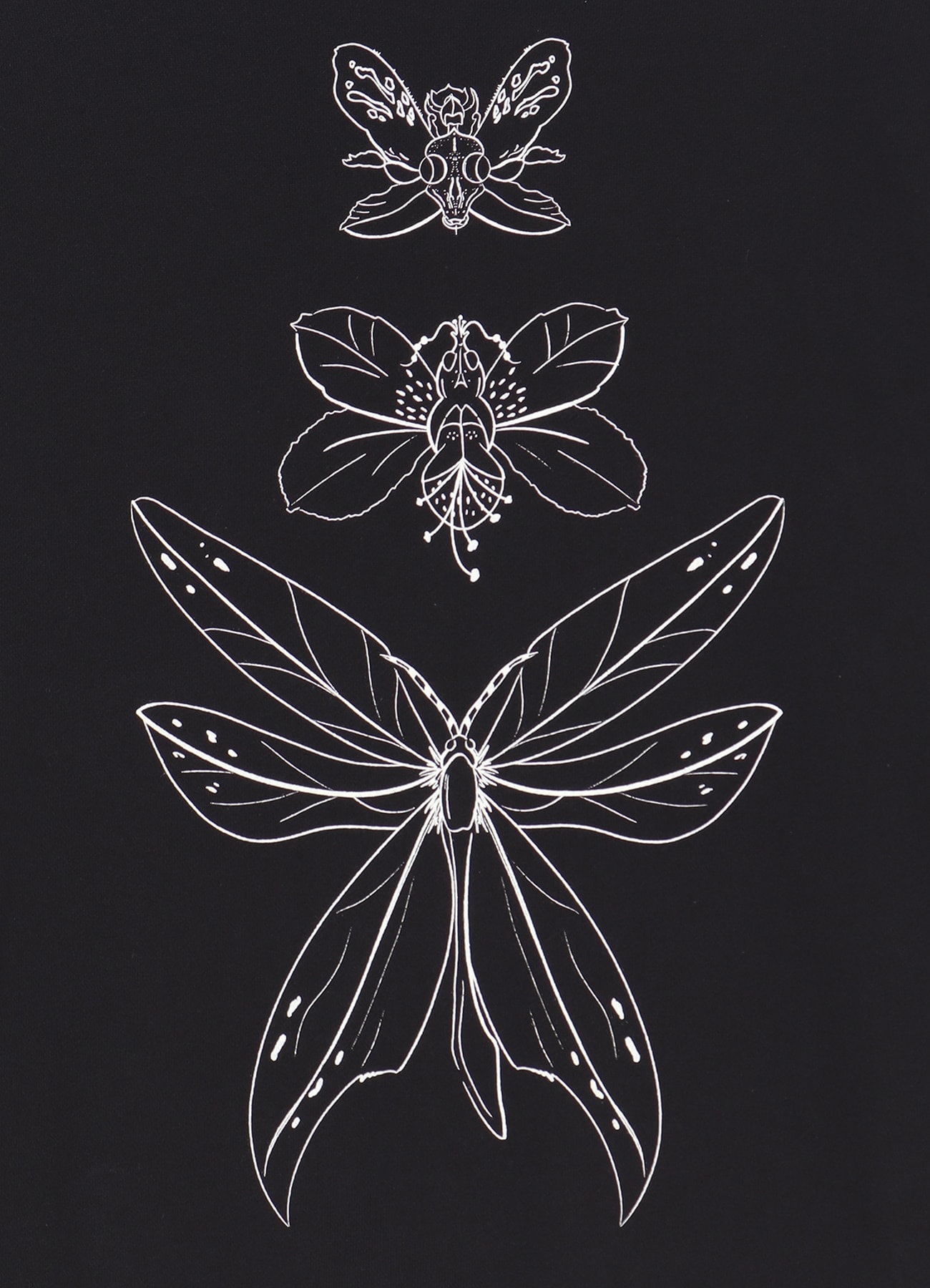 WILDSIDE × IRACEMA INSECTS LINE Hoodie_7