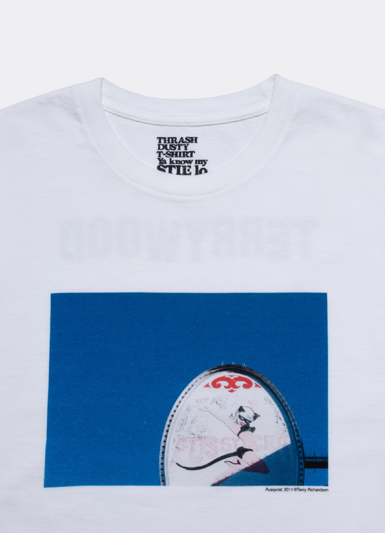 【8/8 12:00 発売】Terry Richardson × Stie-lo Print Tee-B_3