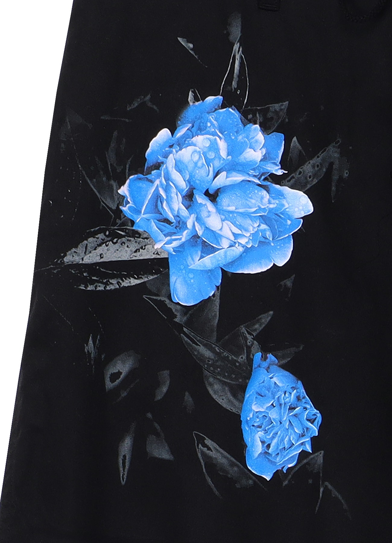 Cotton Chino BLUE ROSE Pants(M BLACK): YOHJI YAMAMOTO｜WILDSIDE