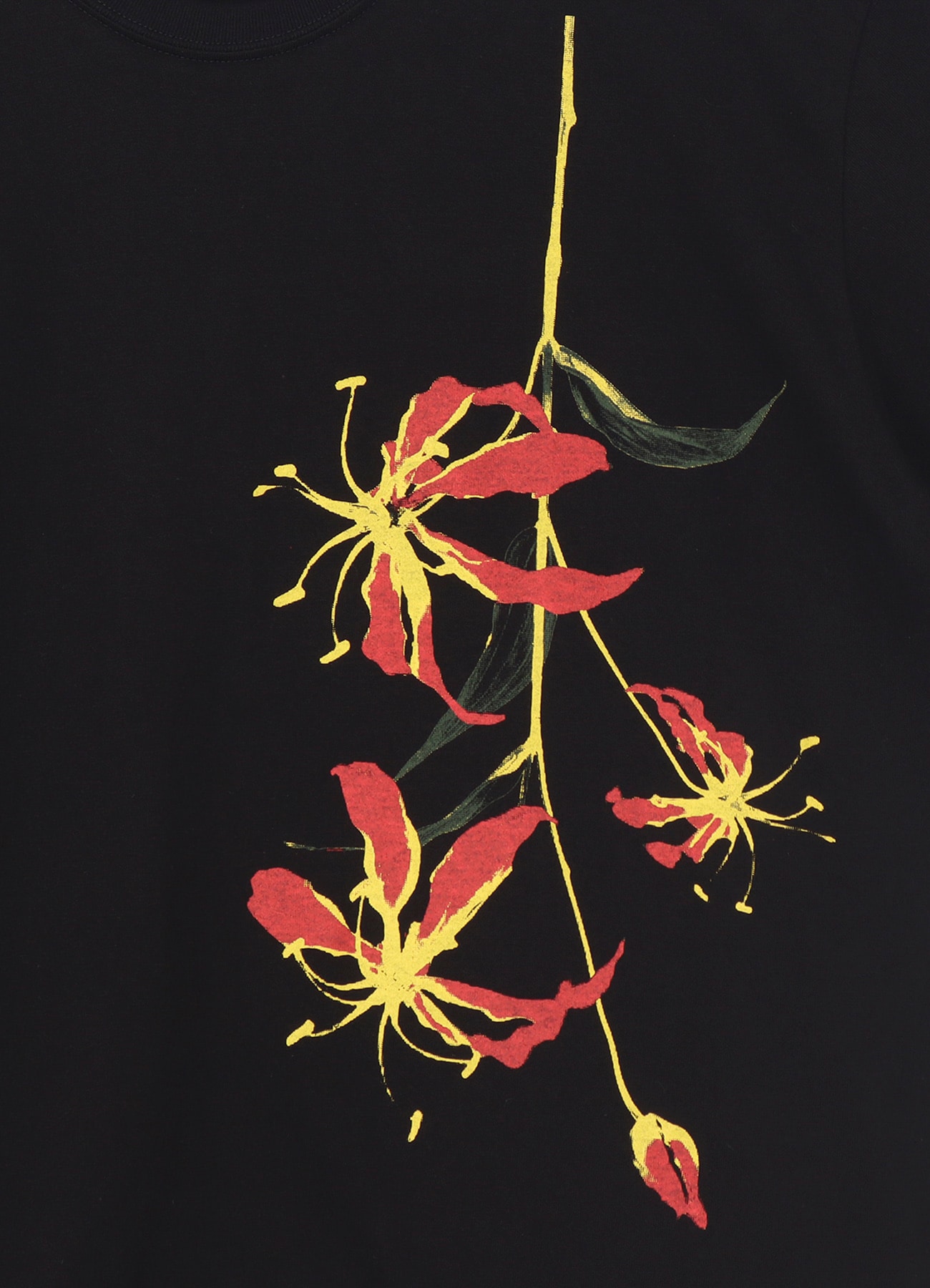 フィヨルド　Tシャツ　M CAMBIO｜mt8949- スタンダードシルエットプリントTシャツ(STAY
